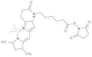 3-BODIPY-PROPANOYLAMINOCAPROIC ACID, N-HYDROXYSUCCINIMIDE ESTER