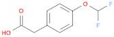 4-(DIFLUOROMETHOXY)PHENYLACETIC ACI