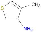 3-AMINO-4-METHYLTHIOPHENE