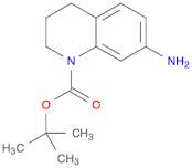 tert-butyl 7-amino-3,4-dihydroquinoline-1(2H)-carboxylate