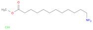 Methyl 12-aminododecanoate hydrochloride