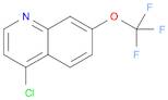 4-CHLORO-7-TRIFLUORO METHOXYQUINOLINE