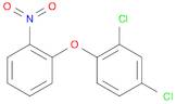 2,4-Dichloro-1-(2-nitrophenoxy)benzene