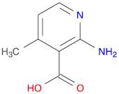 2-AMINO-4-METHYLNICOTINIC ACID,