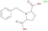 1-benzylpyrrolidine-2,5-dicarboxylic acid hydrochloride