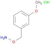 1-[(AMMONIOOXY)METHYL]-3-METHOXYBENZENE CHLORIDE