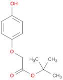 tert-Butyl 2-(4-hydroxyphenoxy)acetate