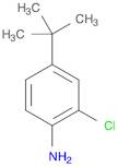 4-(TERT-BUTYL)-2-CHLOROANILINE