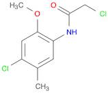 2-Chloro-N-(4-chloro-2-methoxy-5-methyl-phenyl)-acetamide