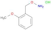 1-[(AMMONIOOXY)METHYL]-2-METHOXYBENZENE CHLORIDE