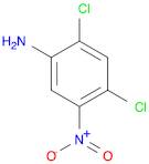 2,4-DICHLORO-5-NITRO-PHENYLAMINE