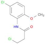 3-CHLORO-N-(5-CHLORO-2-METHOXYPHENYL)PROPANAMIDE