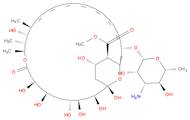 AmphotericinB