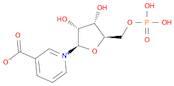 NICOTINIC ACID MONONUCLEOTIDE