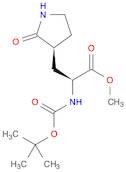 (αS,3S)-α-[(tert-Butyloxycarbonyl)aMino]-2-oxo-3-pyrrolidinepropanoic acid Methyl Ester