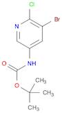 (5-BROMO-6-CHLORO-PYRIDIN-3-YL)-CARBAMIC ACID TERT-BUTYL ESTER