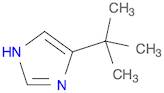 4-(1,1-diMethylethyl)-iMidazole