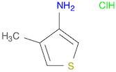 4-methylthiophen-3-amine hydrochloride