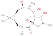 7β-Hydroxylathyrol