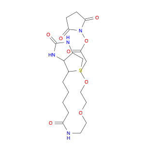 (+)-Biotin-PEG12-CH2CH2COONHS Ester