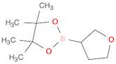 TETRAHYDROFURAN-3-BORONIC ACID PINACOL ESTER