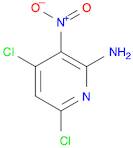 4,6-dichloro-3-nitropyridin-2-aMine