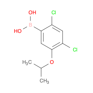 2,4-Dichloro-5-isopropoxyphenylboronic acid