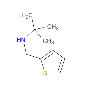 2-Methyl-N-(thiophen-2-ylMethyl)propan-2-aMine