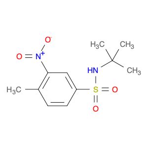 N-tert-Butyl-4-Methyl-3-nitrobenzenesulfonaMide