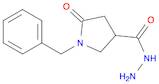 1-BENZYL-5-OXO-3-PYRROLIDINECARBOHYDRAZIDE