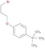 1-(3-BROMOPROPOXY)-4-TERT-BUTYLBENZENE