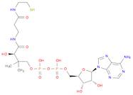 3'-DEPHOSPHOCOENZYME A