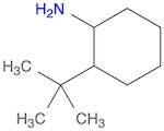 2-(tert-Butyl)cyclohexanamine