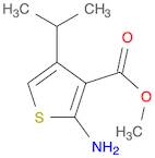 3-Thiophenecarboxylicacid,2-amino-4-(1-methylethyl)-,methylester(9CI)