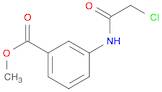 METHYL 3-[(CHLOROACETYL)AMINO]BENZOATE