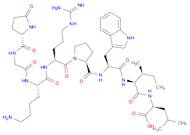 XENOPSIN