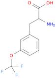 2-AMINO-3-(3-TRIFLUOROMETHOXY-PHENYL)-PROPIONIC ACID