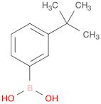 M-T-BUTYLPHENYLBORONIC ACID