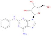 2-PHENYLAMINOADENOSINE