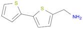 2,2'-BITHIOPHENE-5-METHYLAMINE