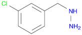 (3-CHLORO-BENZYL)-HYDRAZINE