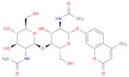 4-METHYLUMBELLIFERYL β-D-N,N'-DIACETYL-CHITOBIOSIDE