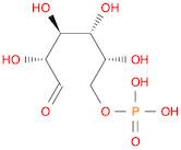 D(+)-GLUCOPYRANOSE 6-PHOSPHATE