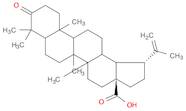 Betulonicacid