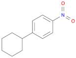 4-CYCLOHEXYL-1-NITROBENZENE 98