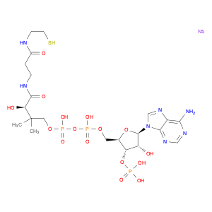 COENZYME A SODIUM SALT