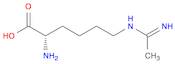 6-Acetimidamido-2-aminohexanoic acid