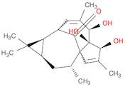 20-DEOXYINGENOL