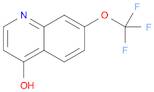 4-HYDROXY-7-TRIFLUOROMETHOXYQUINOLINE