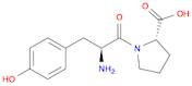 α-Casomorphin (1-2)